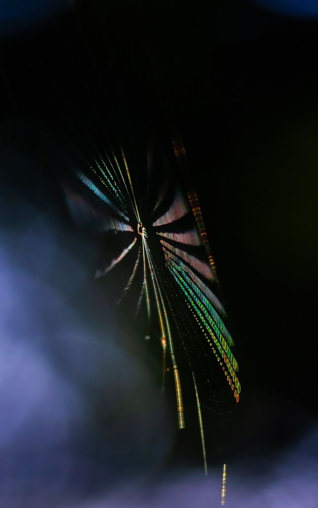 Photograph by Vuong Bui