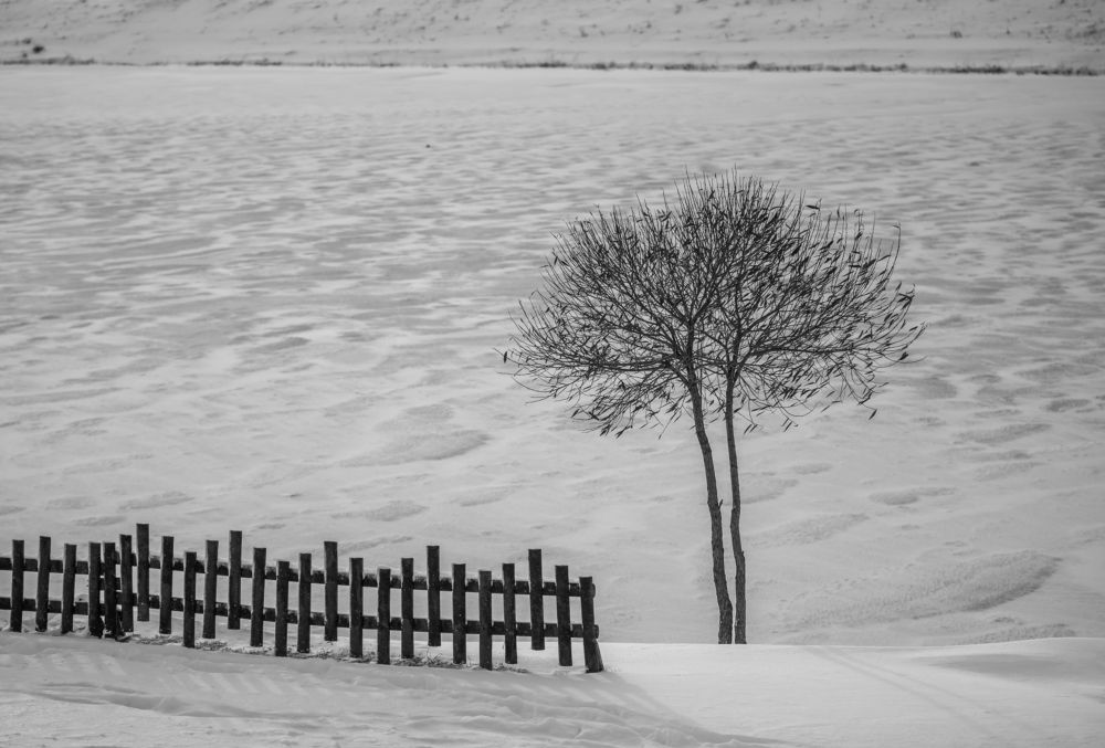 Фотография автора Виктор Руденко