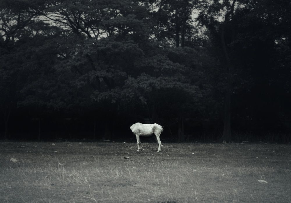 Photograph by Agamoni Chakraborty