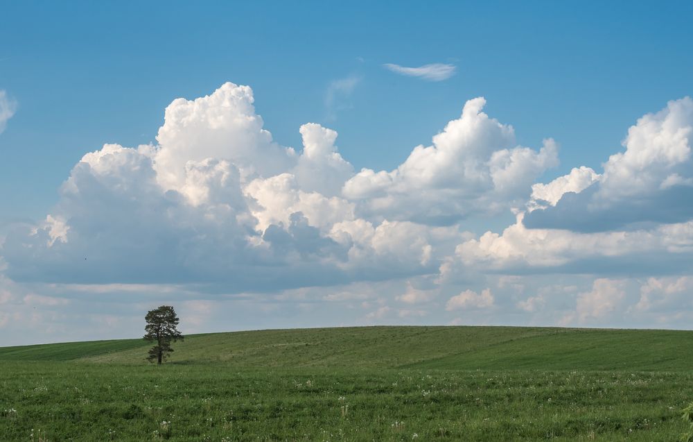Фотография автора Виктор Руденко