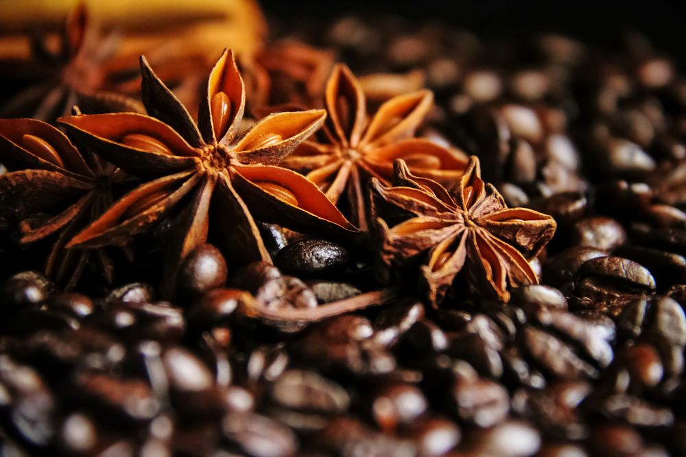 Photograph by Angie Odeh