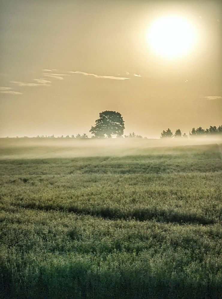 Photograph by Владимир Шаруба