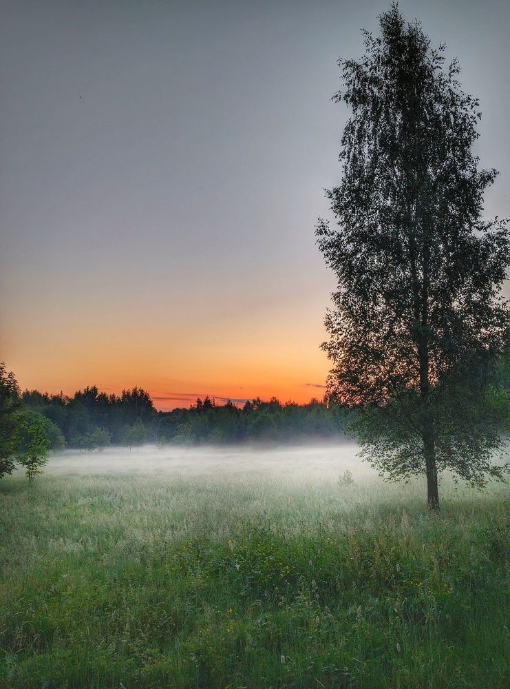 Photograph by Владимир Шаруба