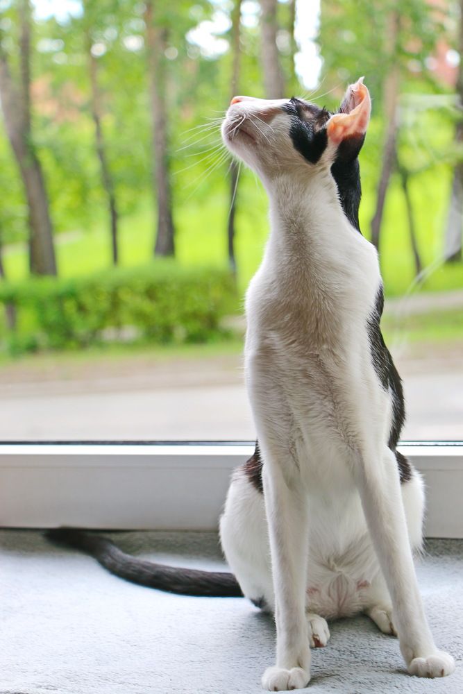 Photograph by Виталий Черепенькин