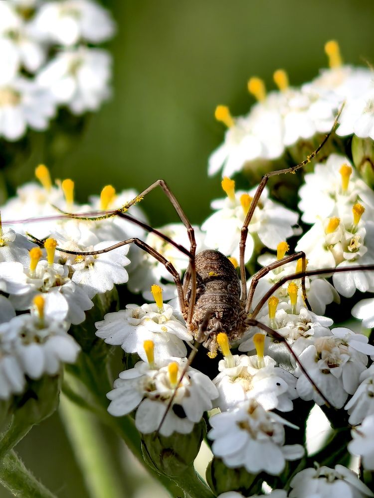 Photograph by Анна Епанчинцева
