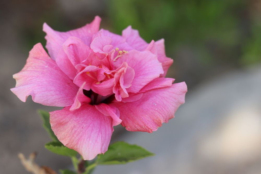 Фотография автора zakaria ahmad