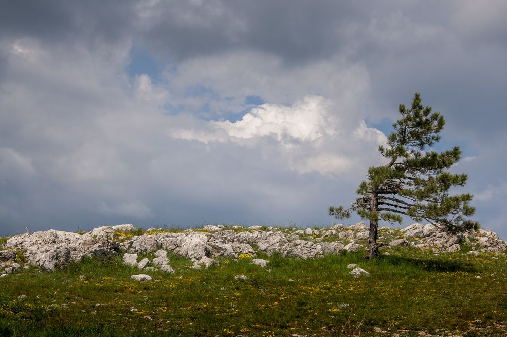 Photograph by Будаква Сергей