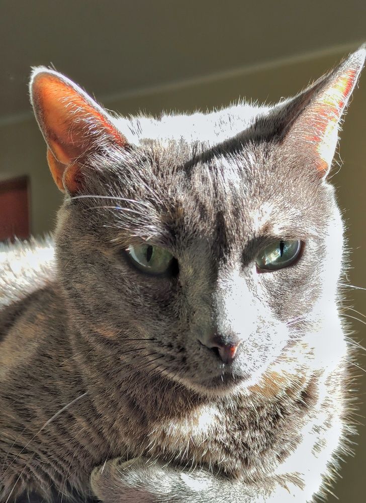 Photograph by Jorge Giol - El Caminante