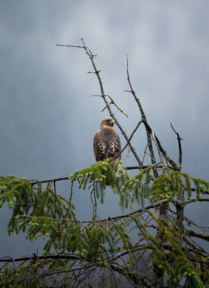 Фотография автора Frida Aspani