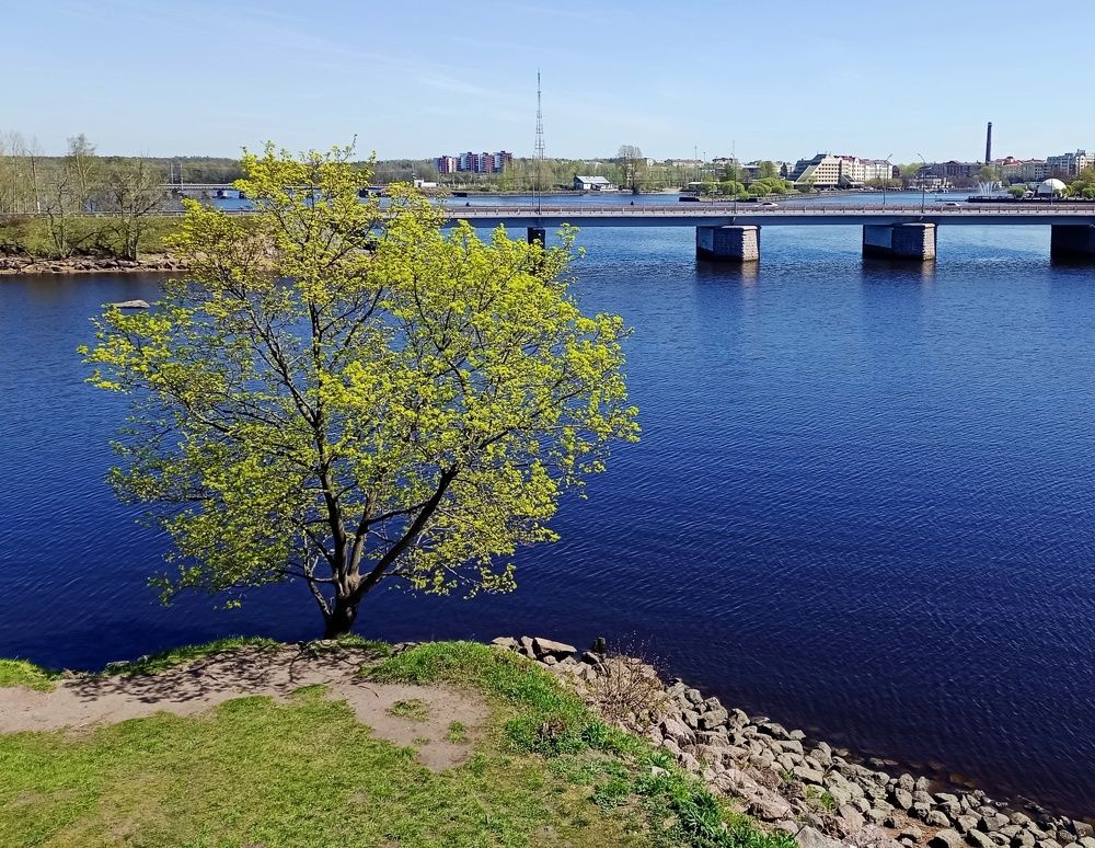Photograph by Sergey Kurkov-Tarkovsky