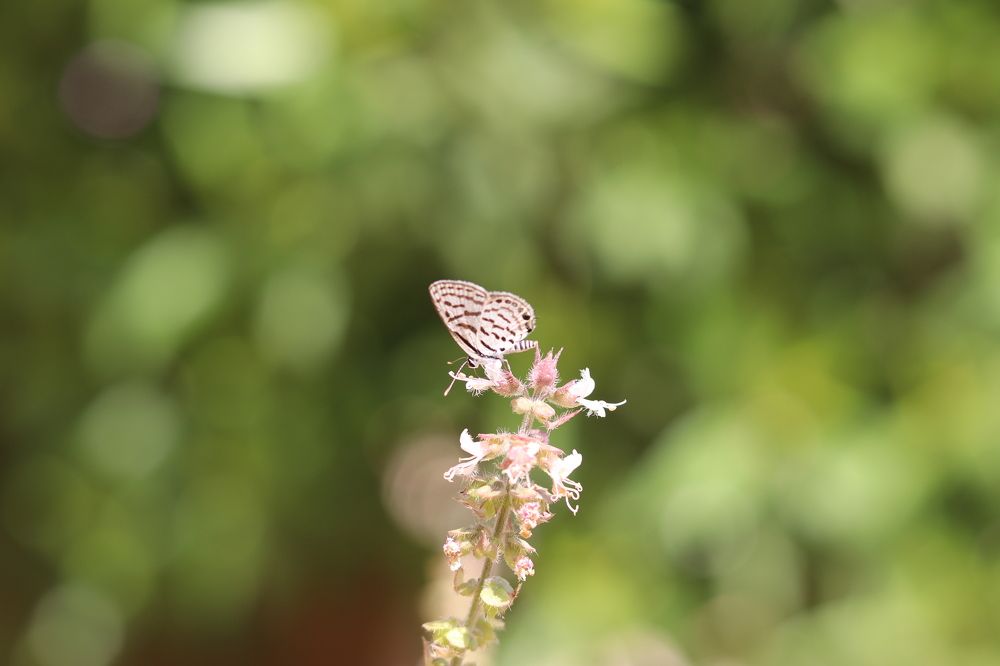 Фотография автора zakaria ahmad