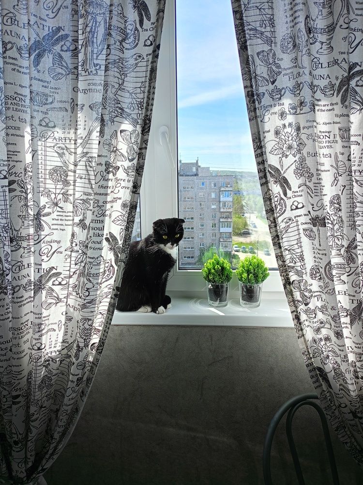 Photo #10690150