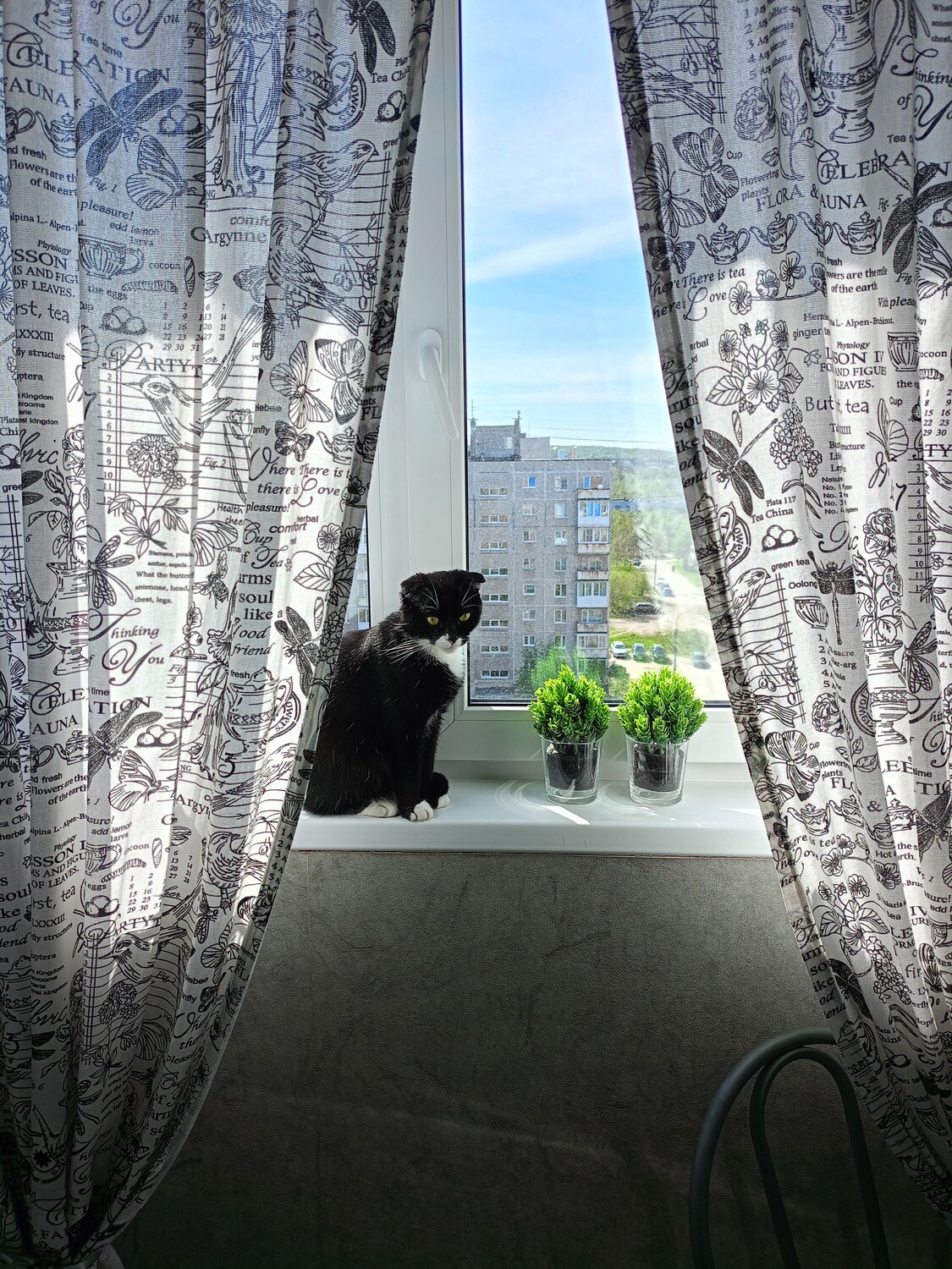 Photo #10690150