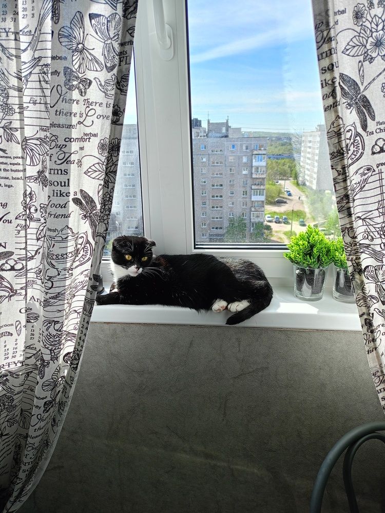 Photo #10690161