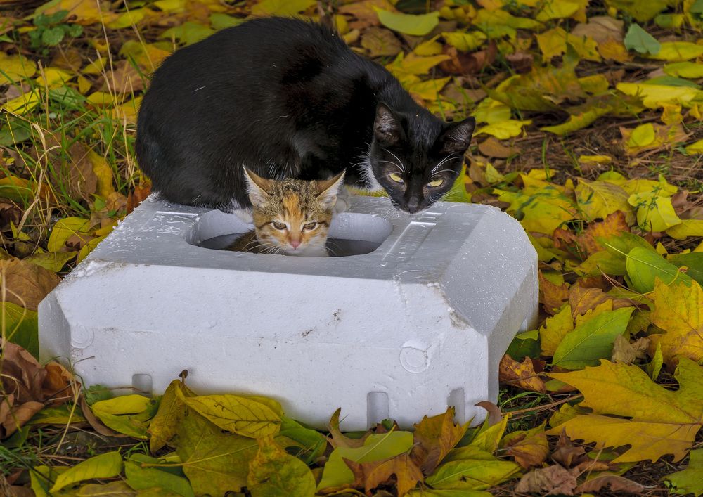 Photograph by Будаква Сергей