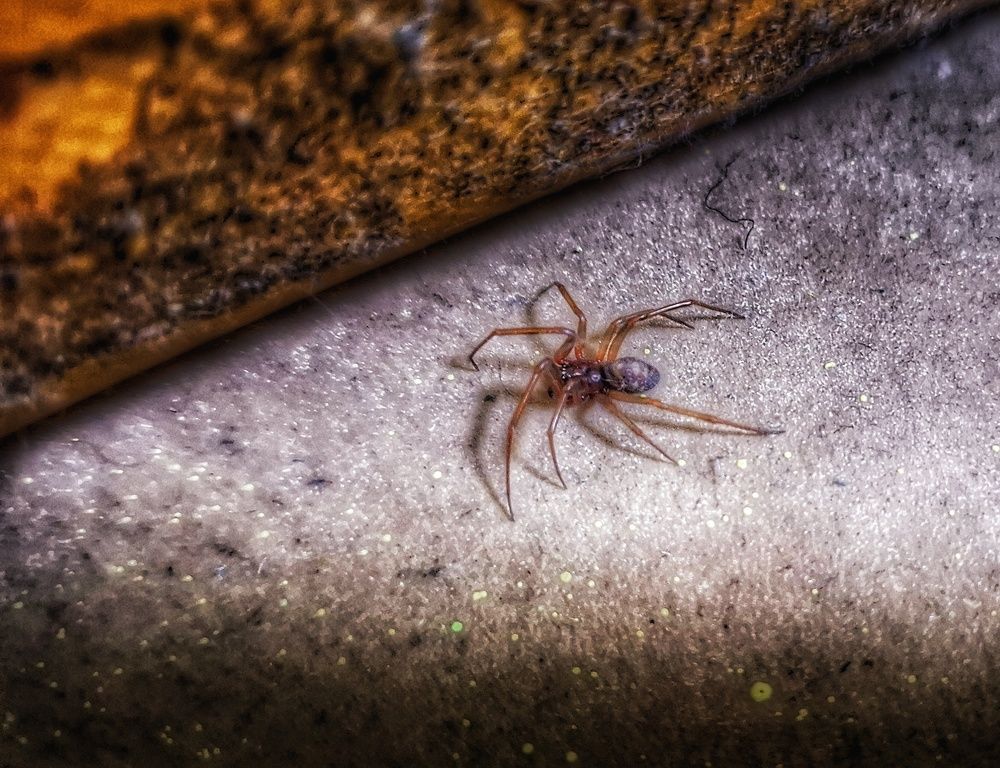 Photograph by Мария Андреева