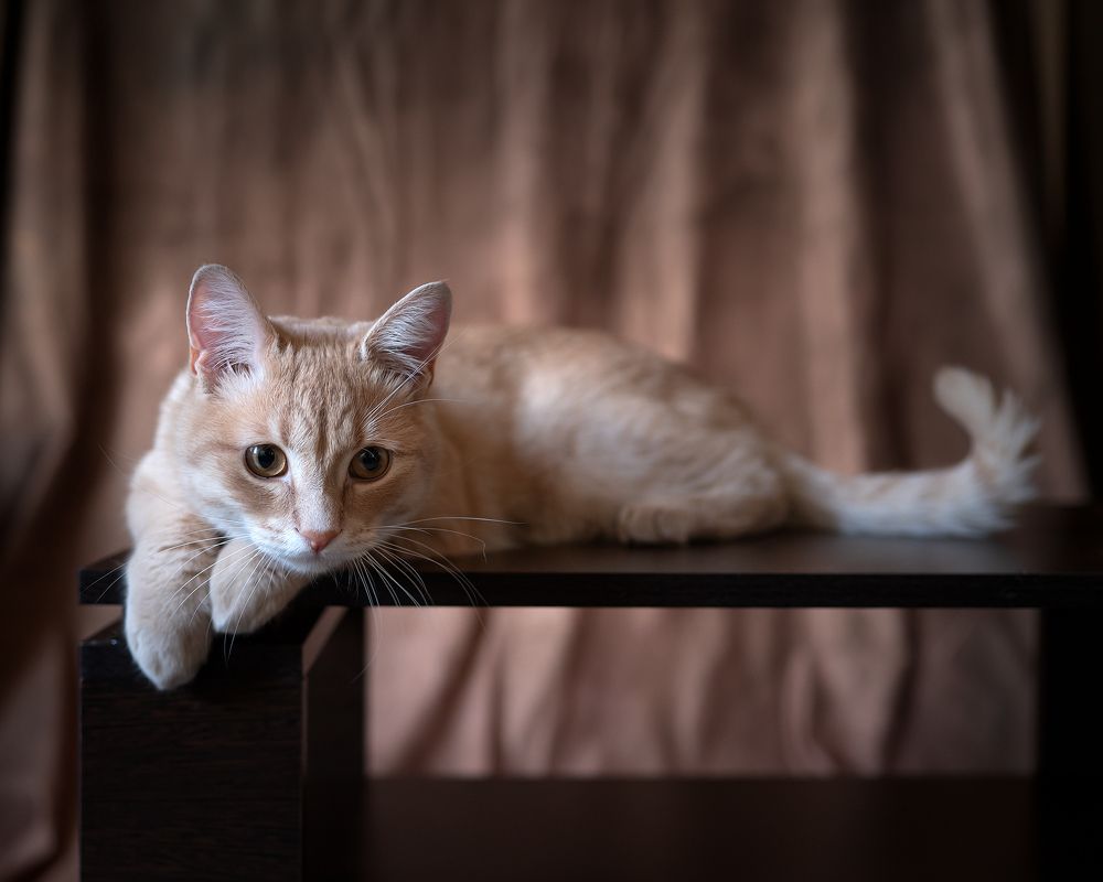 Photograph by Евгений Мальков