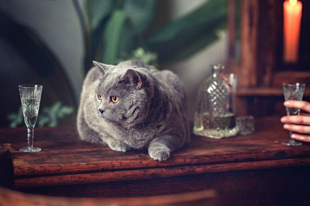 Photograph by Ольга Смагаринская