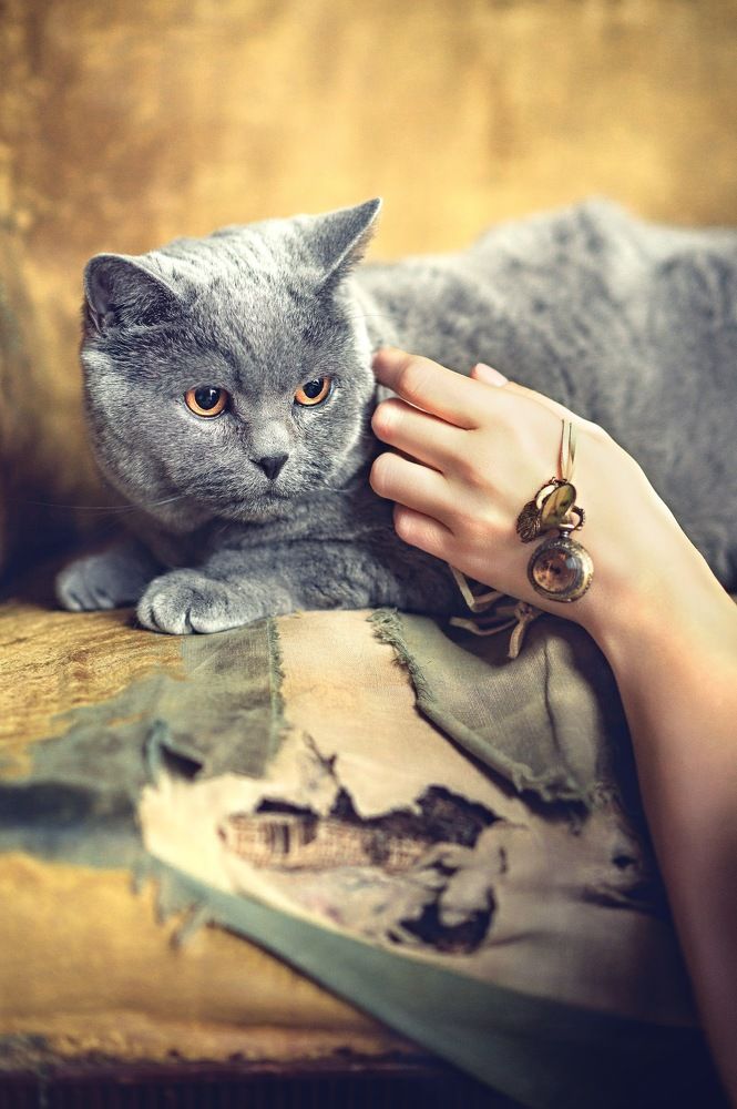 Photograph by Ольга Смагаринская