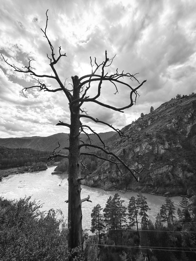 Photograph by Antonina Marchenko