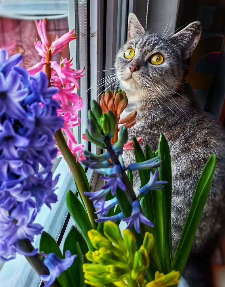 Photograph by Юлия Коробкова