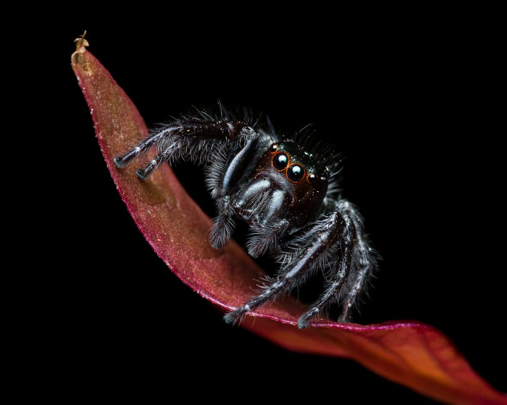 Photograph by Haarish Mohammed