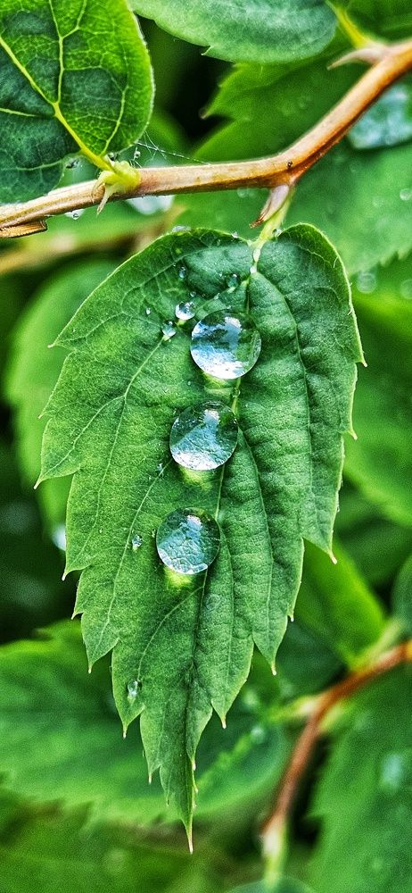 Photograph by Оксана Новикова