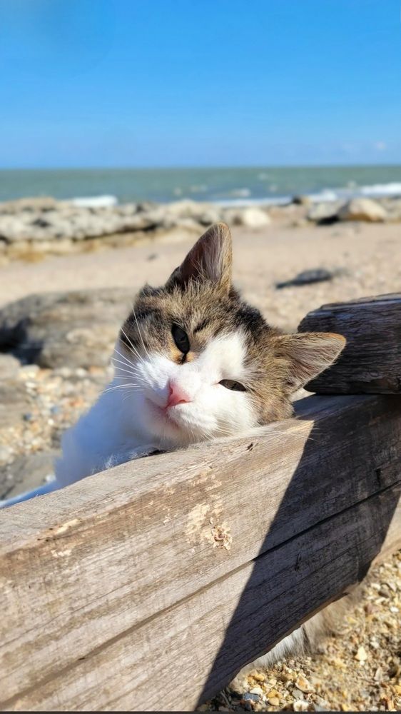 Photograph by Владислав Моисеев