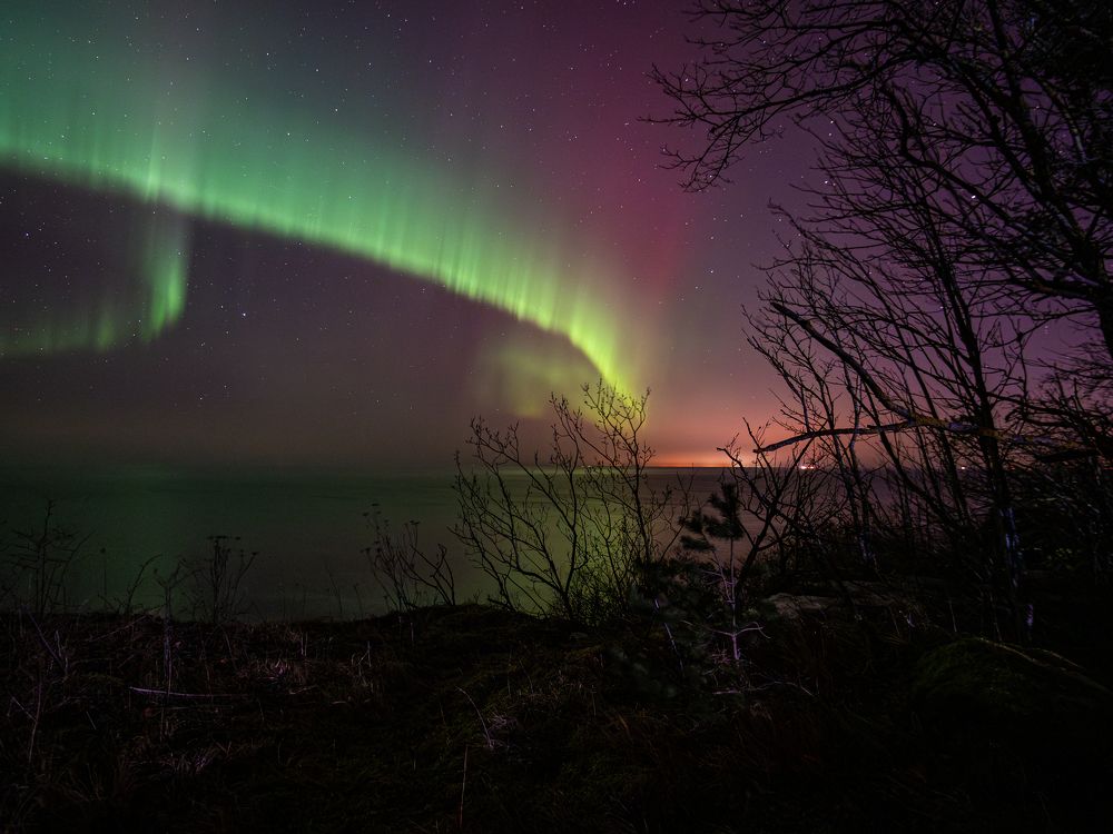 Photograph by Olga Link