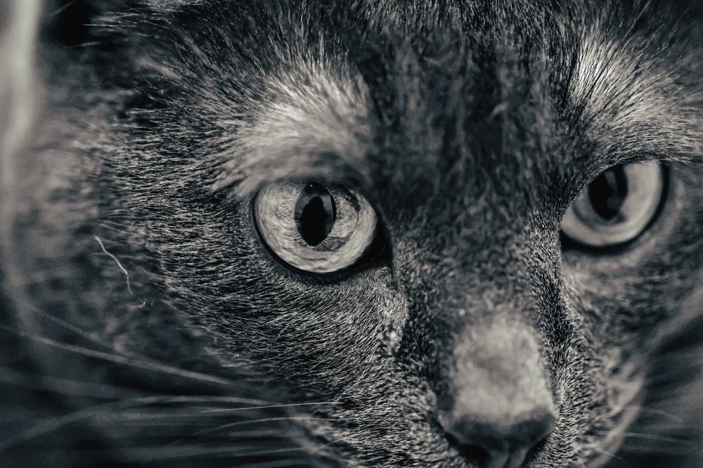 Photograph by Yana Egorova