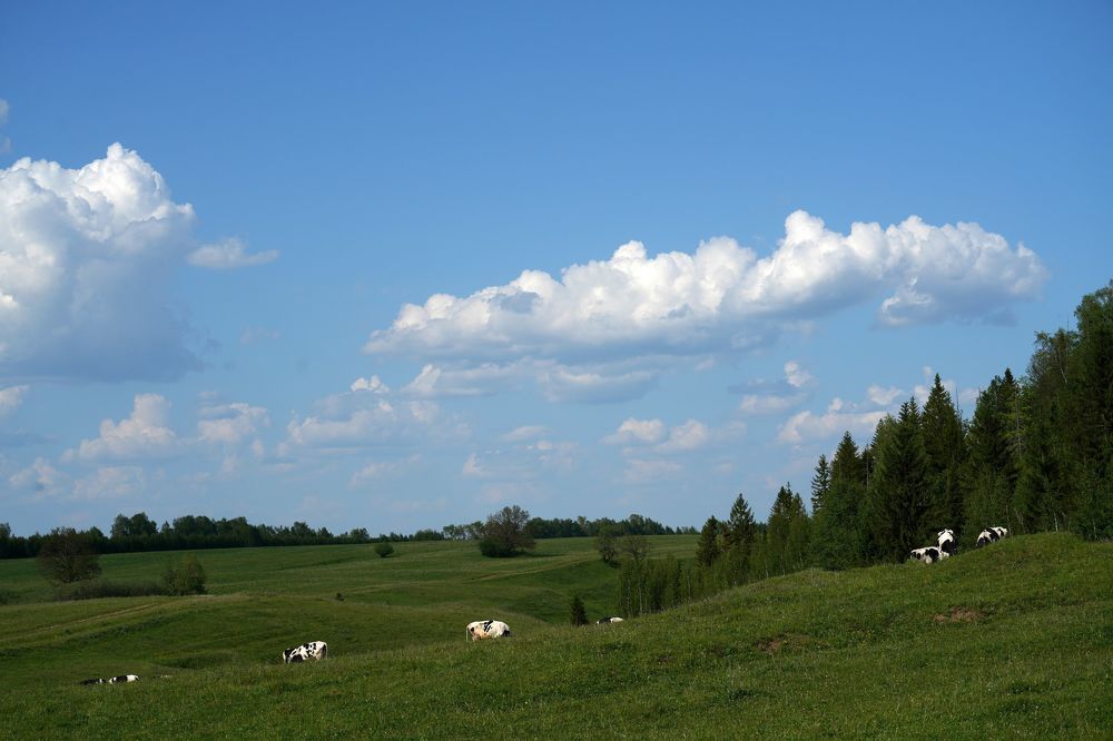 Photograph by Измаил Ефимов