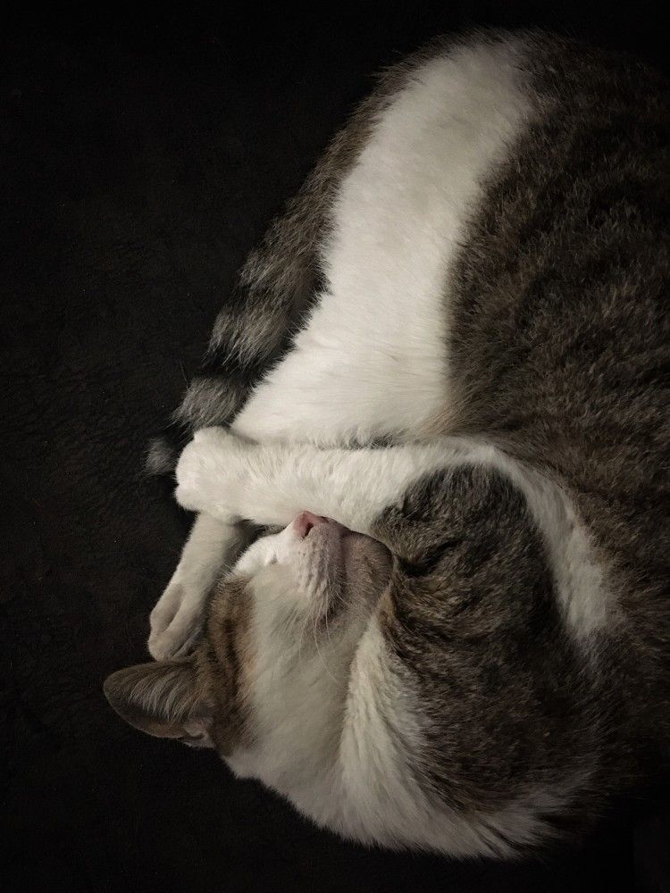 Photograph by Sergei Komlev