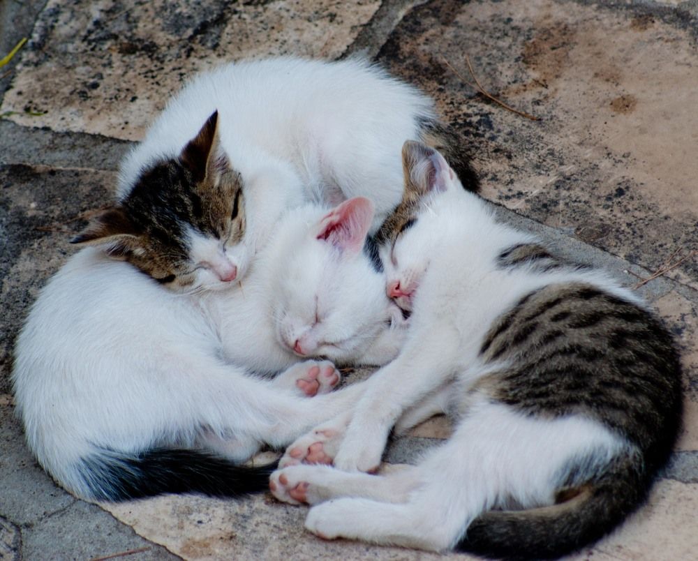 Photograph by Sergei Komlev