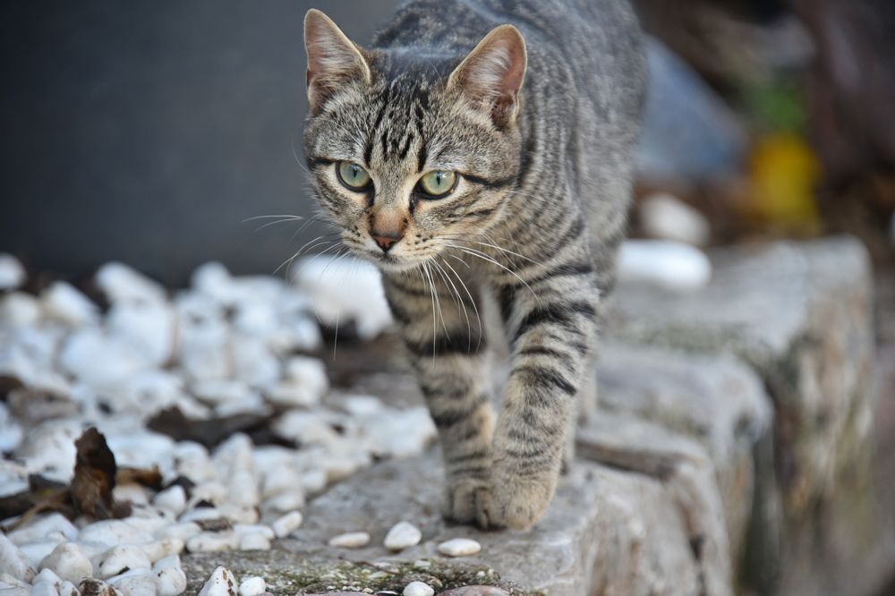 Photograph by Anna Zelinskaya