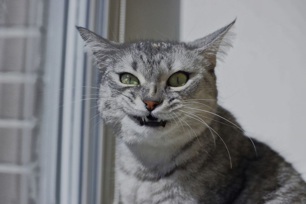 Photograph by Yana Egorova