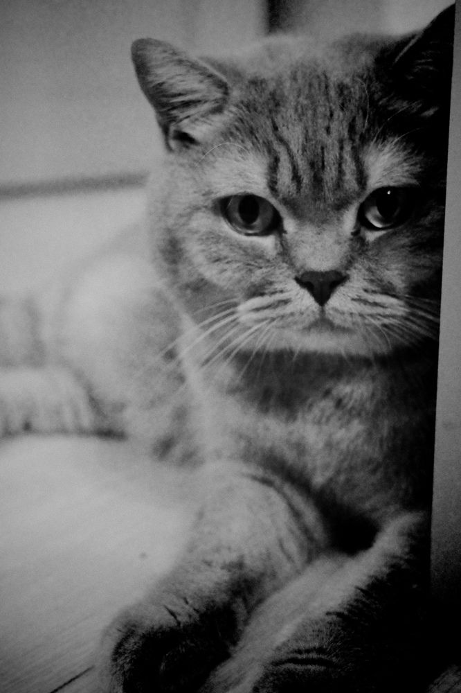 Photograph by Yana Egorova