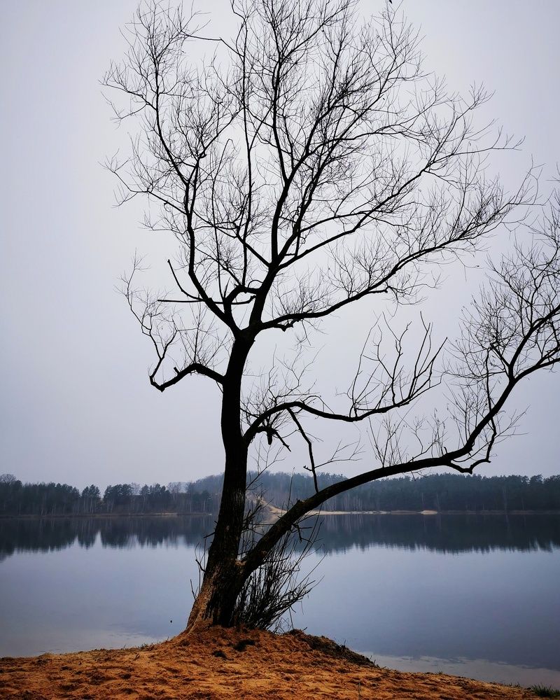 Photograph by Елена Артёменко