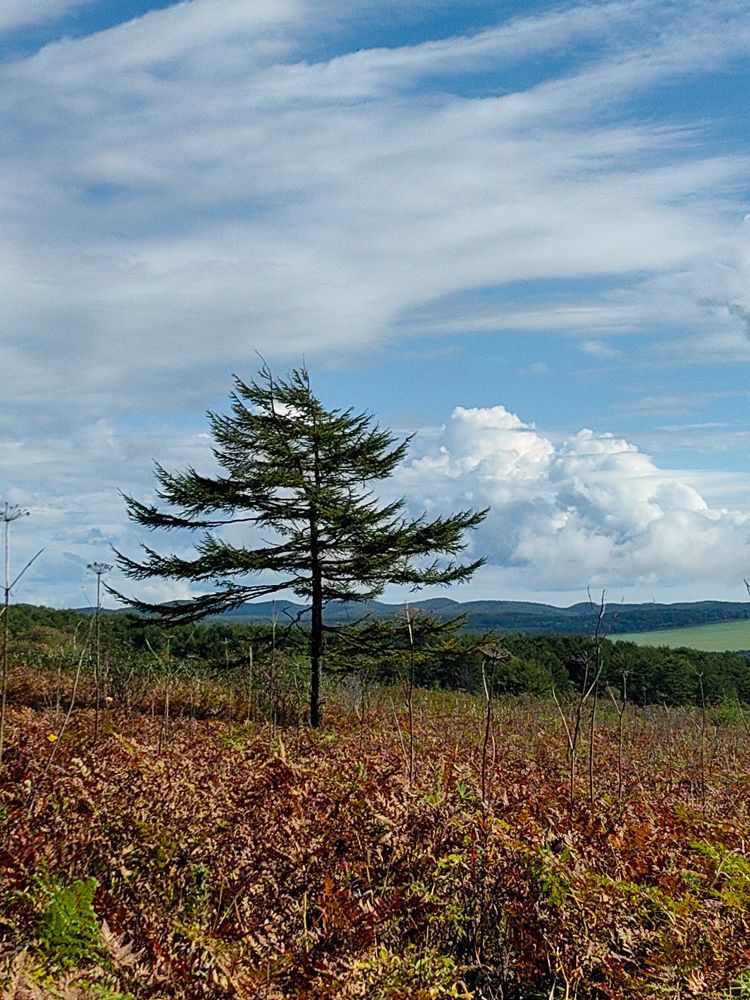 Photograph by Ирина Ветюгова