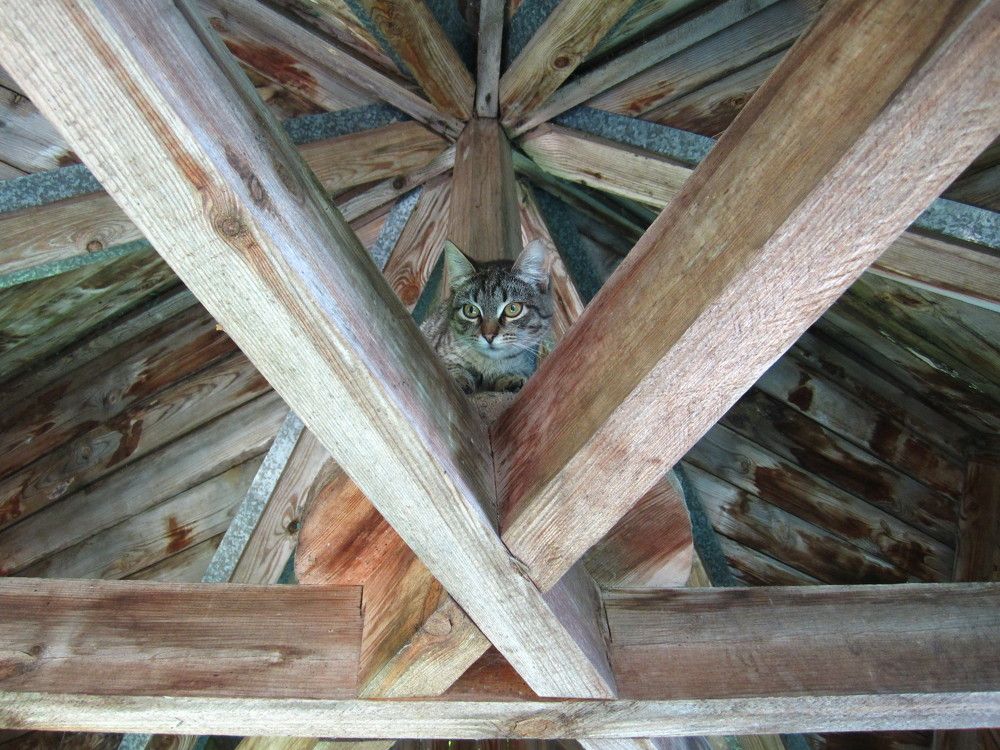 Photograph by Наталья Дубовкина