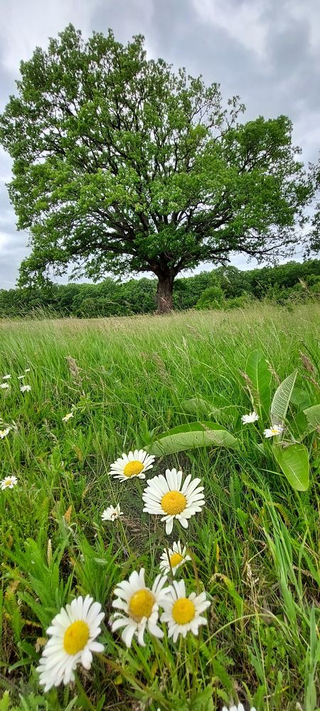 Photograph by Марина Жарикова