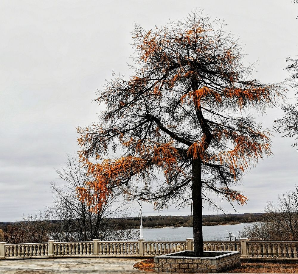 Photograph by Елена Артёменко