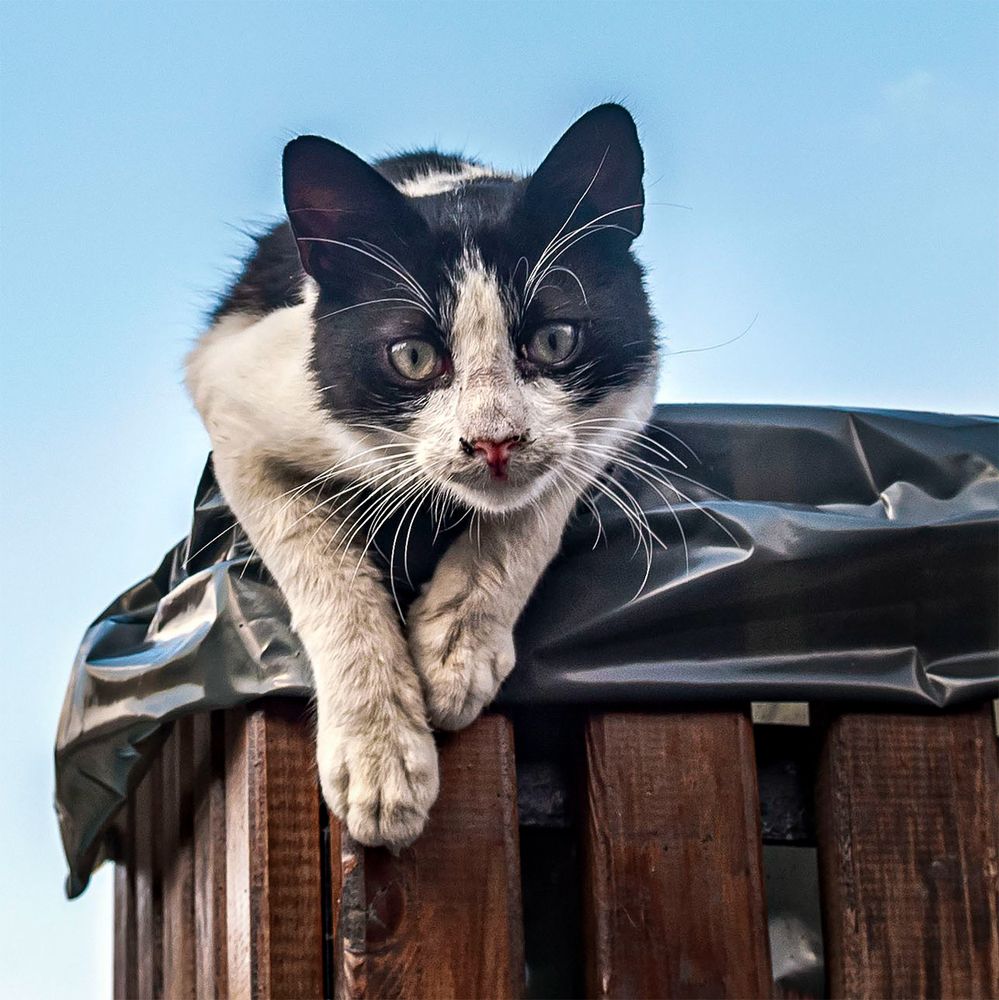 Photograph by Юрий Михайлович Головкин