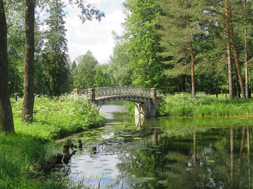 Photograph by Галина Пименова