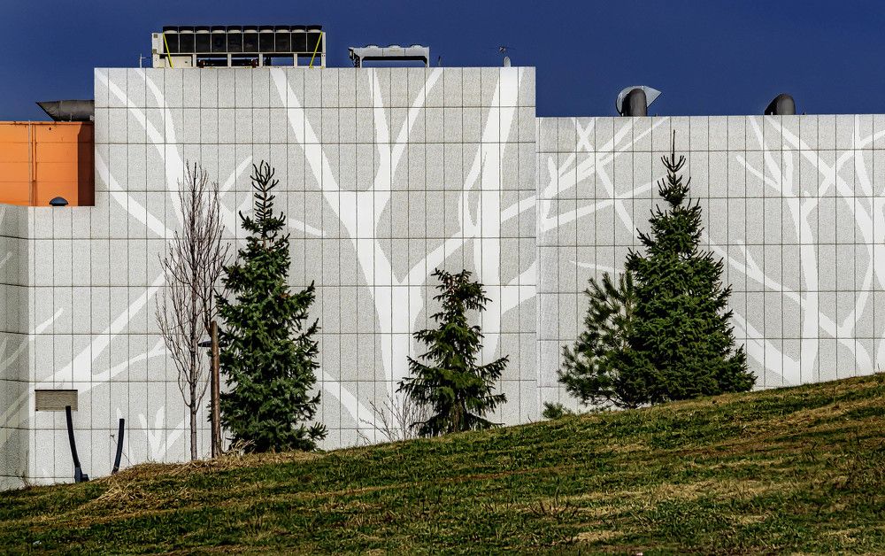 Photograph by Михаил Крайнев