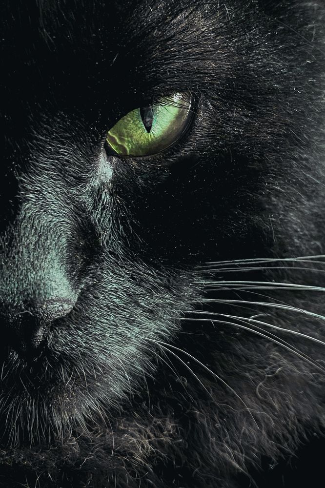 Фотография автора Anastasia Struna