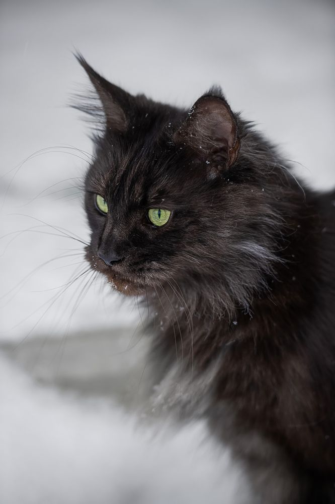 Photograph by Дарья Лисицына