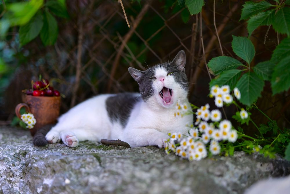 Photograph by Оксана Архипова