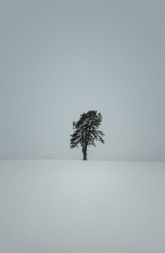 Photograph by Juris Buklovskis