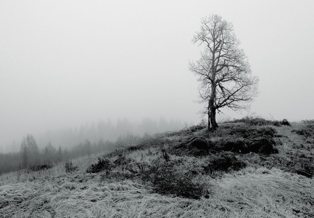 Photograph by Juris Buklovskis