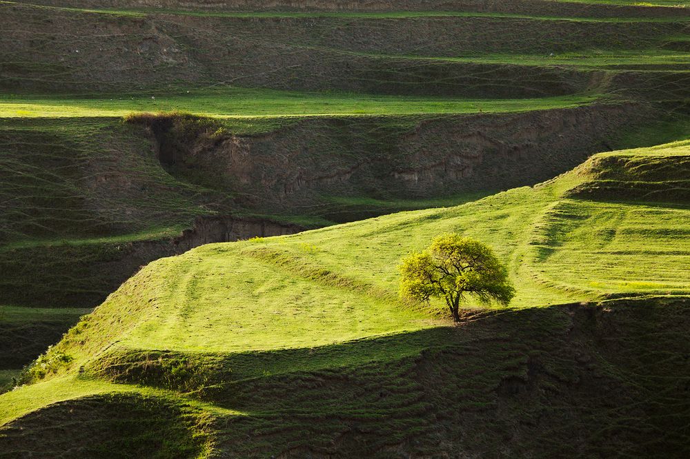 Фотография автора Медведникова Мария
